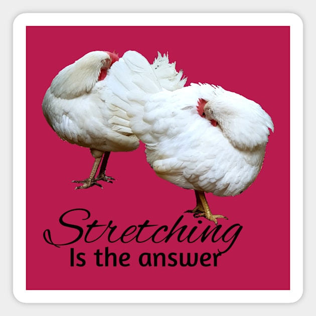 Hens stretching Magnet by GribouilleTherapie